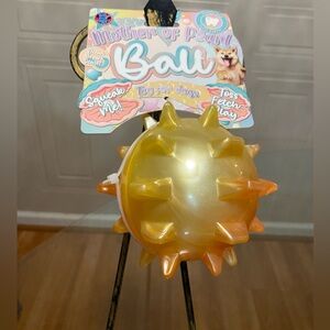 Bow Wow Spike Ball With Loud Squeaker  Ball  4"